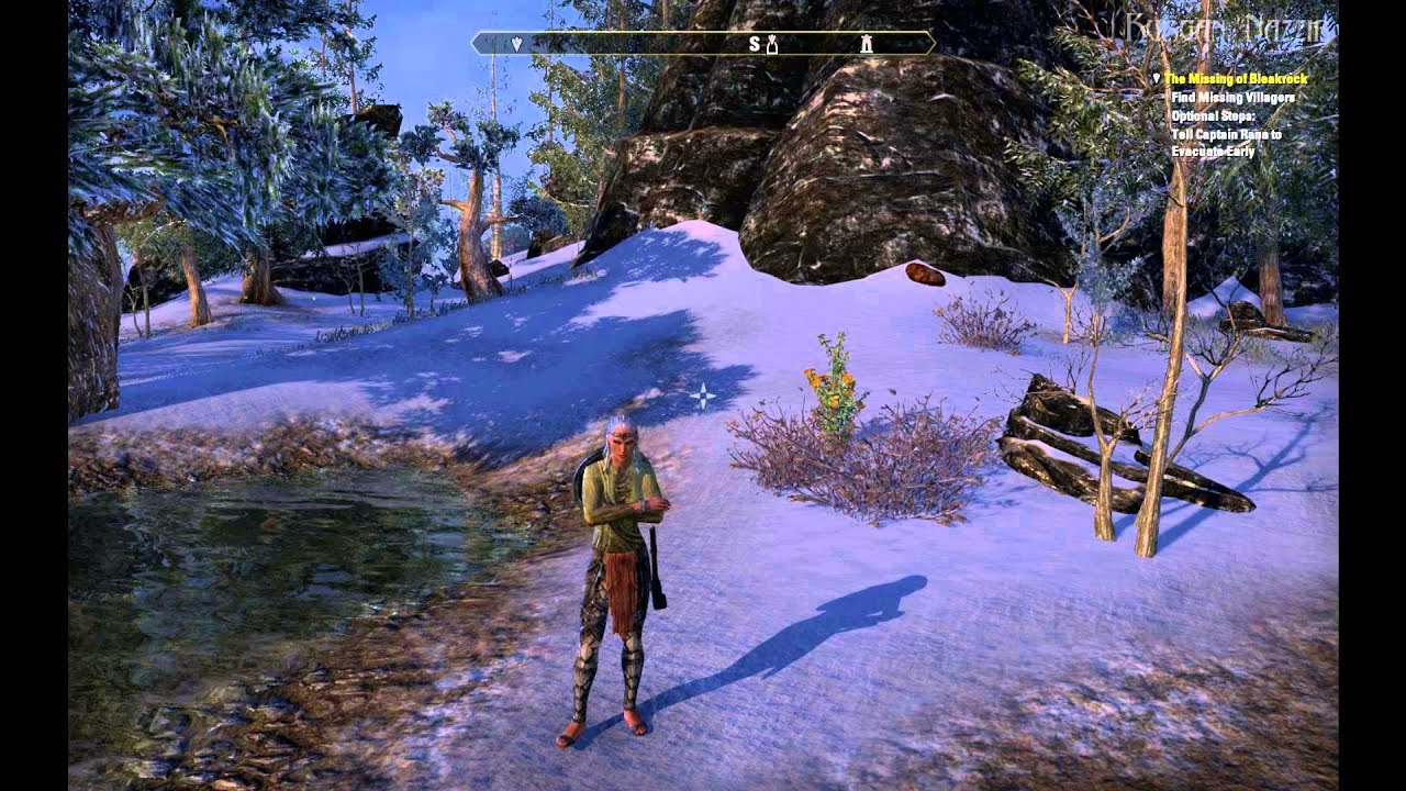 The Elder Scrolls Online Beta (PC) - Emotes /Angry through /Controlrod