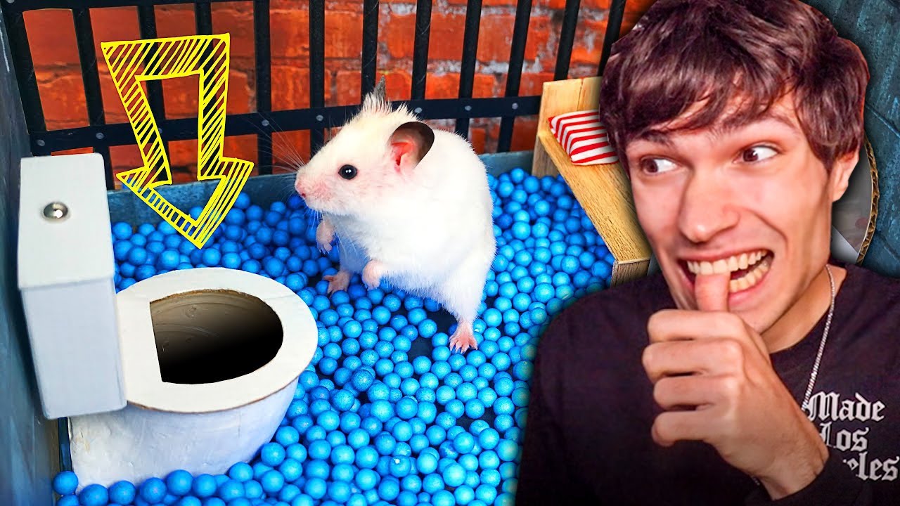 Un HAMSTER S'évade De PRISON ! (c'est un fou)