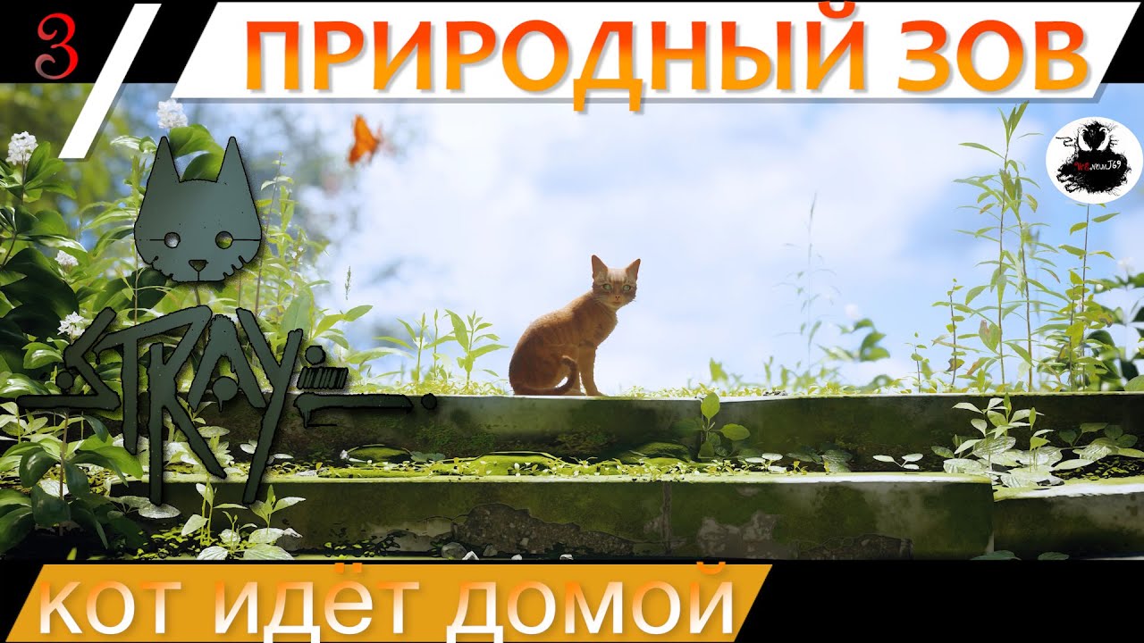 Stray part 3 | дикий кот