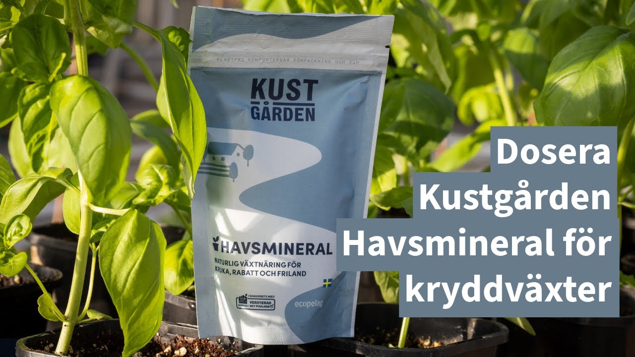 Dosering med Kustgården Havsmineral av basilika och andra kryddväxter - Grobruket