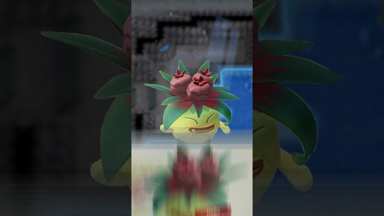 The 
