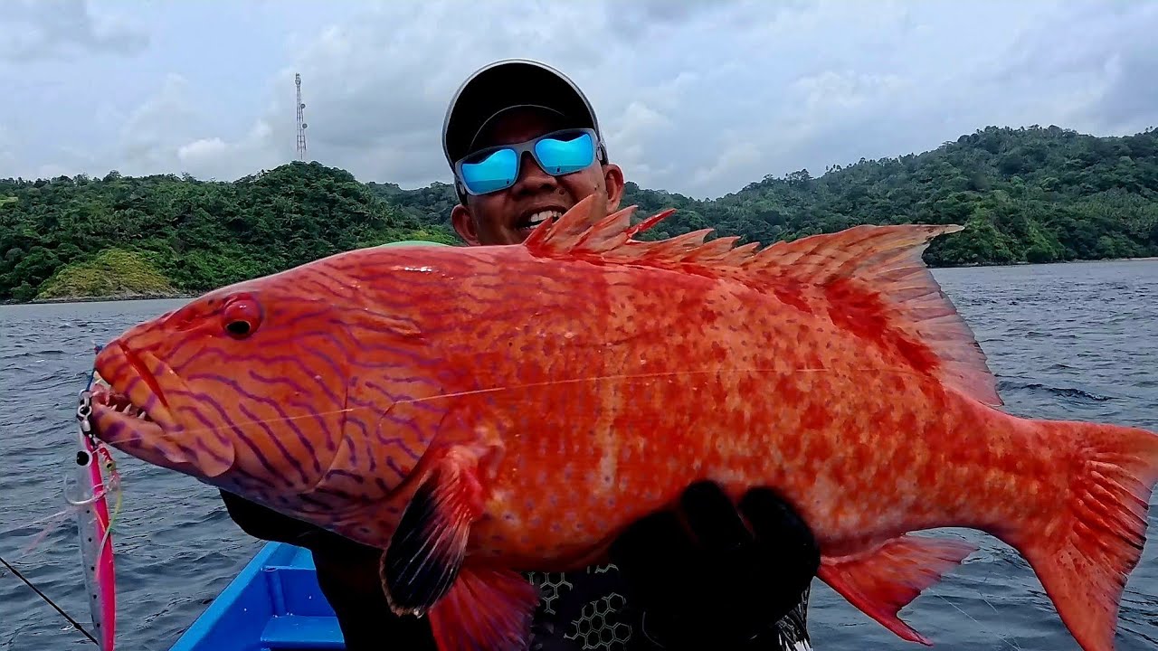 SELAMA MANCING BARU KALI INI DAPAT KERAPU SUNU SEBESAR INI❗️ BIARO SURGANYA MANCING.