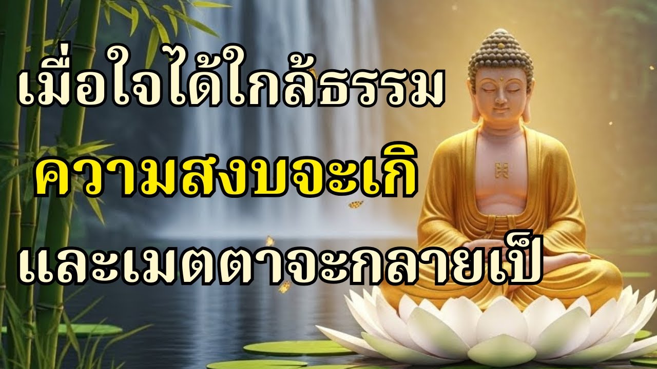 เมื่อใจได้ใกล้ธรรม ความสงบจะเกิดขึ้น และเมตตาจะกเมตตานำทาง