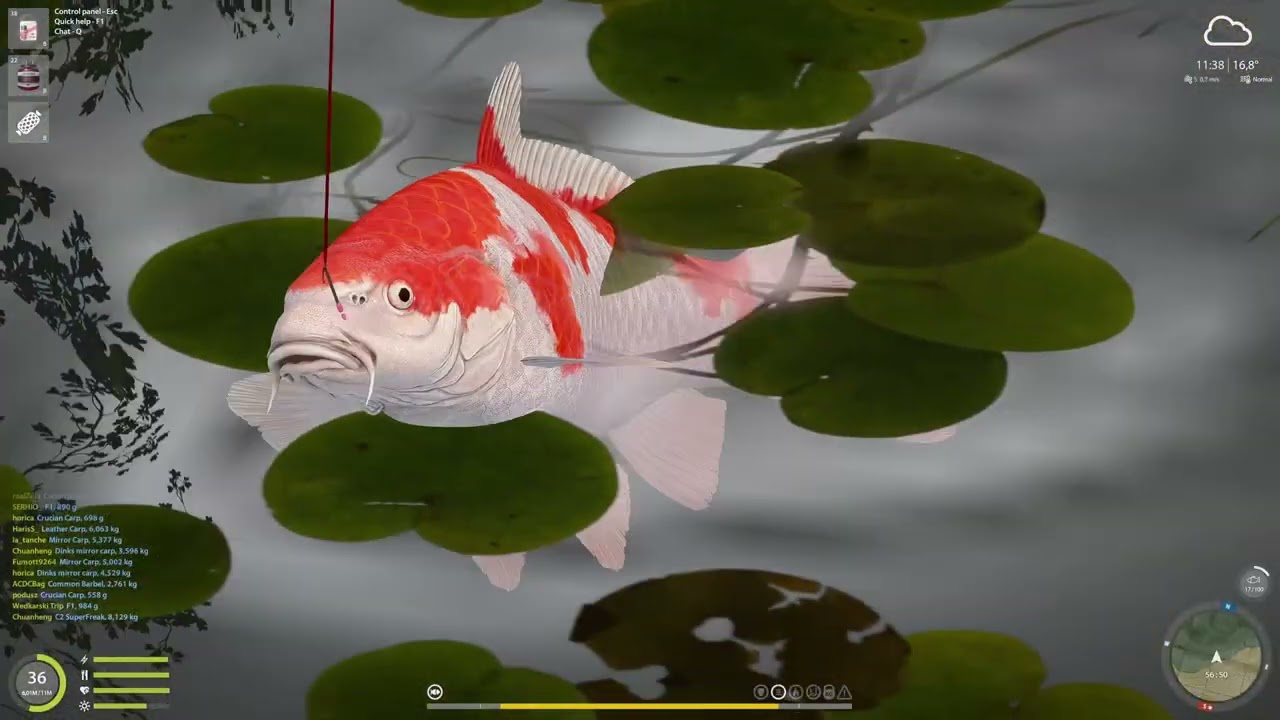 F1, Carp, C2 & koi carp NO PVA Copper Lake (94) | Russian Fishing 4 RF4