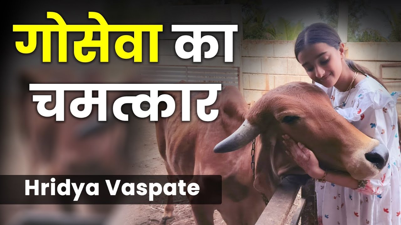 गाय की सेवा करने से कैसे खुल जाती है किस्मत?  सच जानकर हैरान रह जाएंगे | Hridaya Vaspate