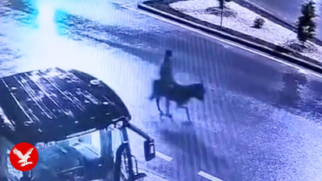 Watch thief break into shop with forklift before fleeing on donkey
