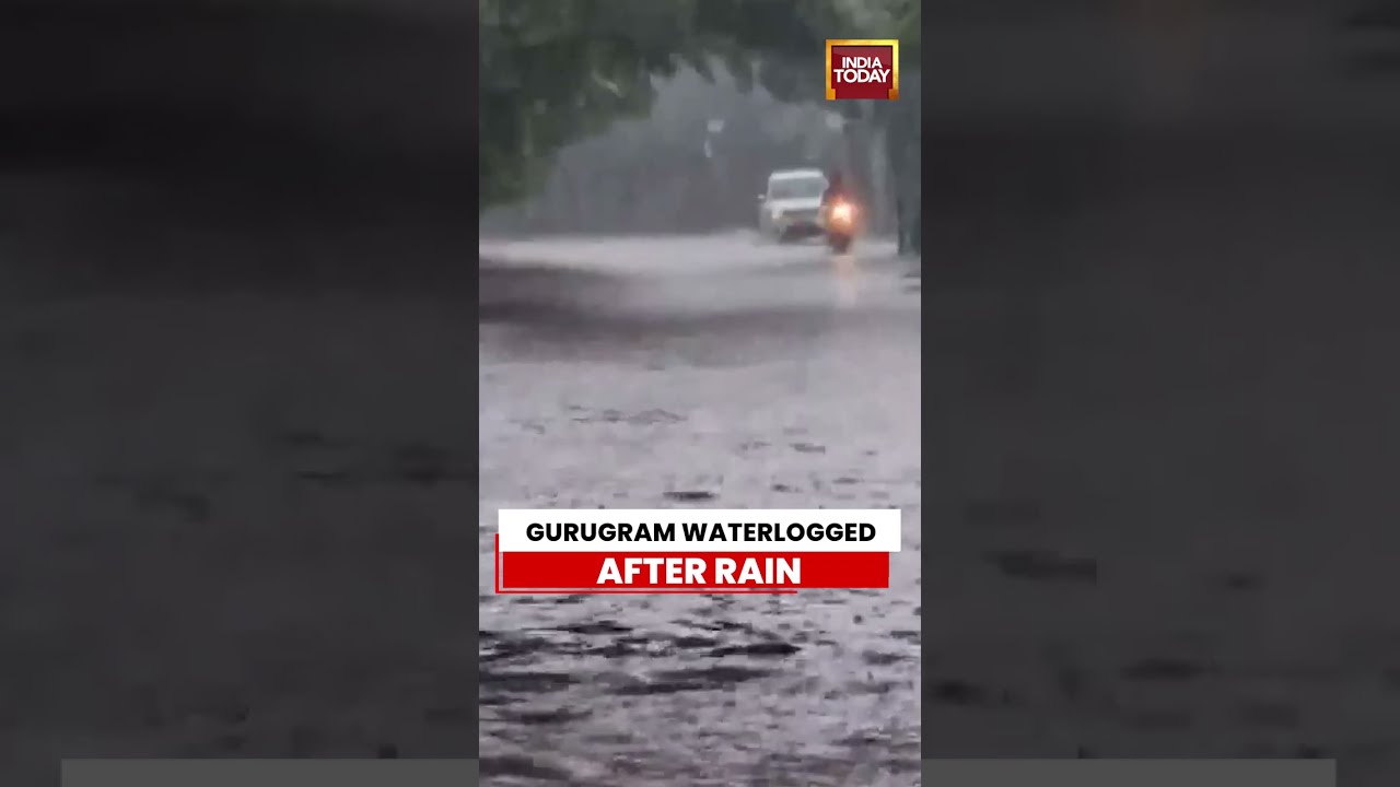Heavy Rain Disrupts Normal Life In Gurugram Amid Waterlogging | Monsoon News |