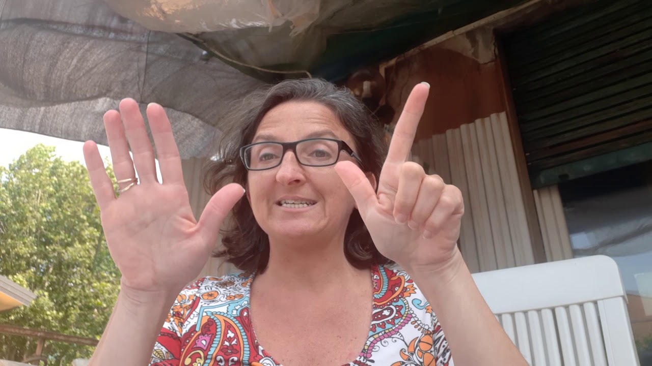 LIS - I giorni della settimana Video n. 10