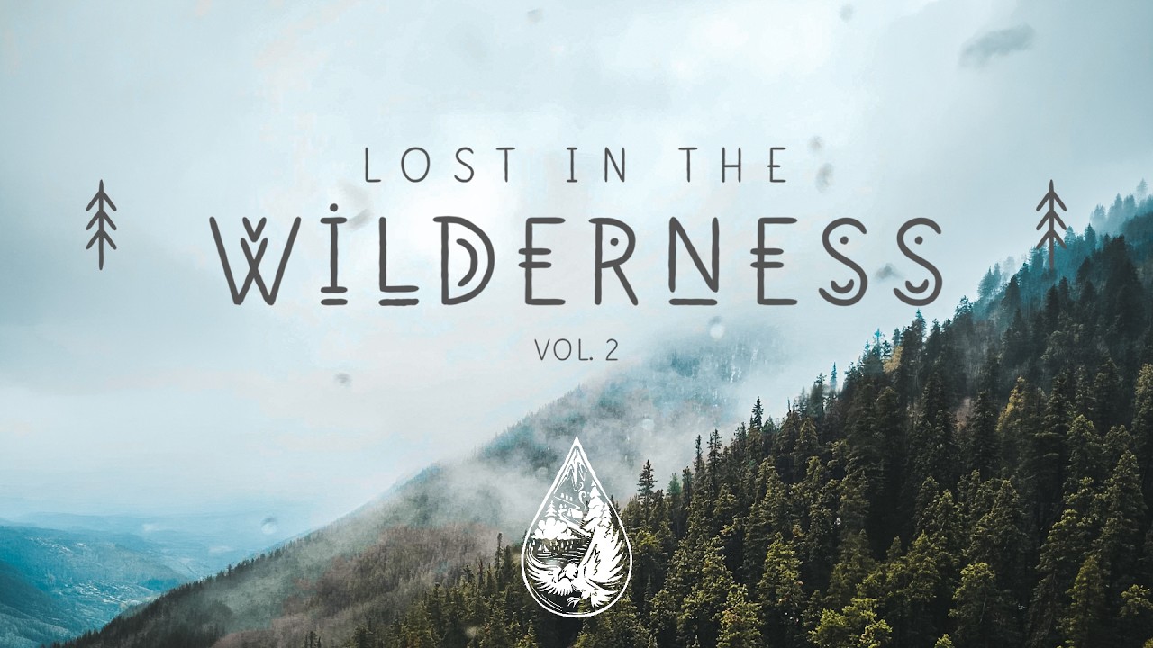 Lost In The Wilderness ↟ &bull; An Indie/Folk/Alternative Playlist | Vol. 2