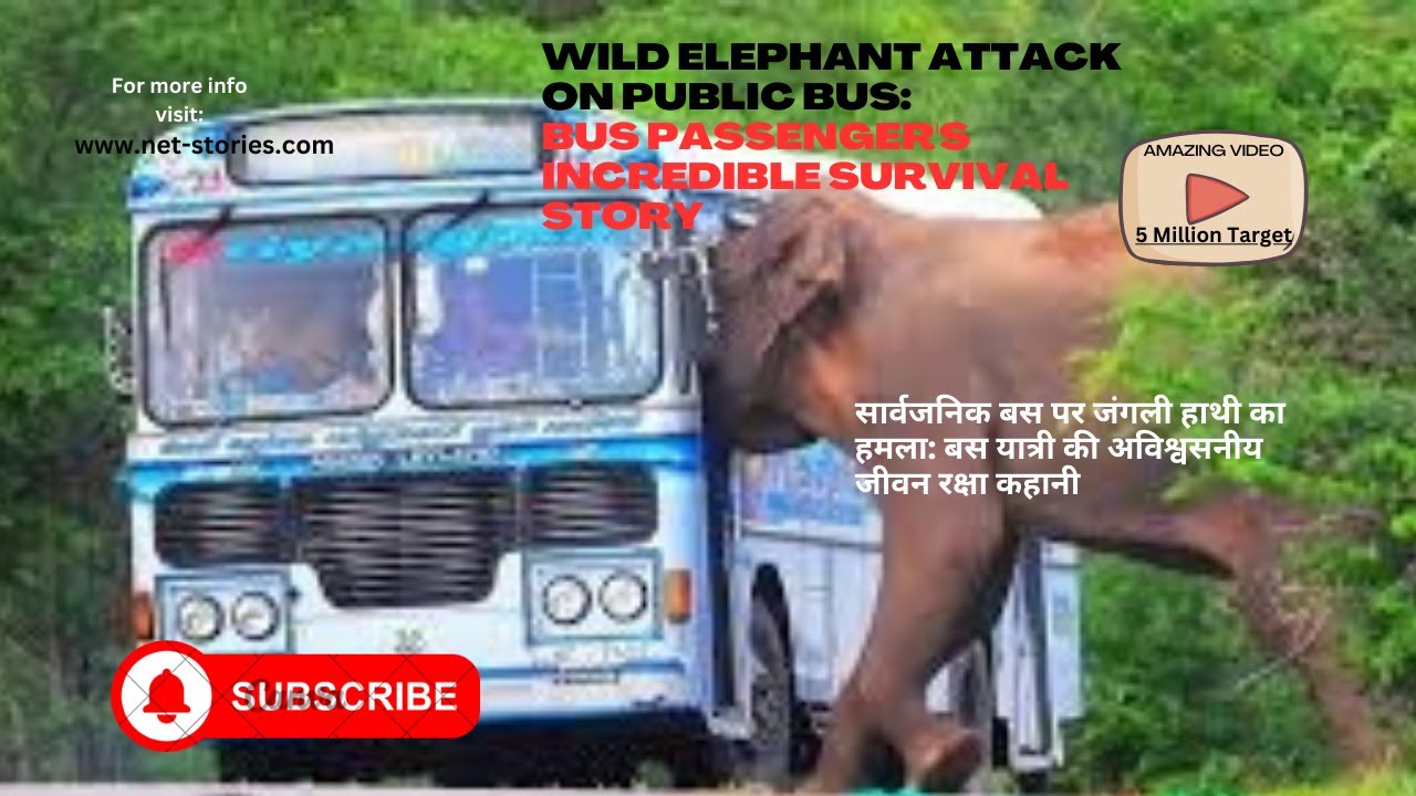 Unforgettable moment: Tusker elephant attack on Bus #elephant #tusker #africansafari#africanelephant