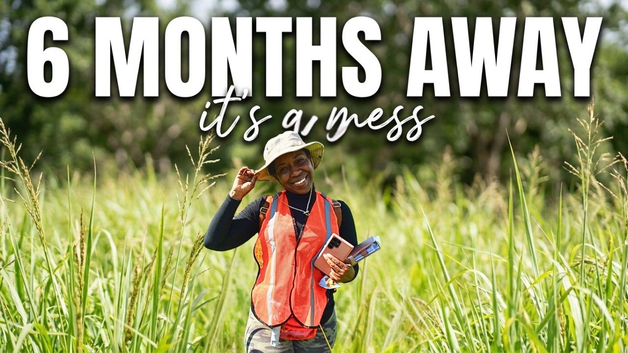 Preparing My Land for Farming
