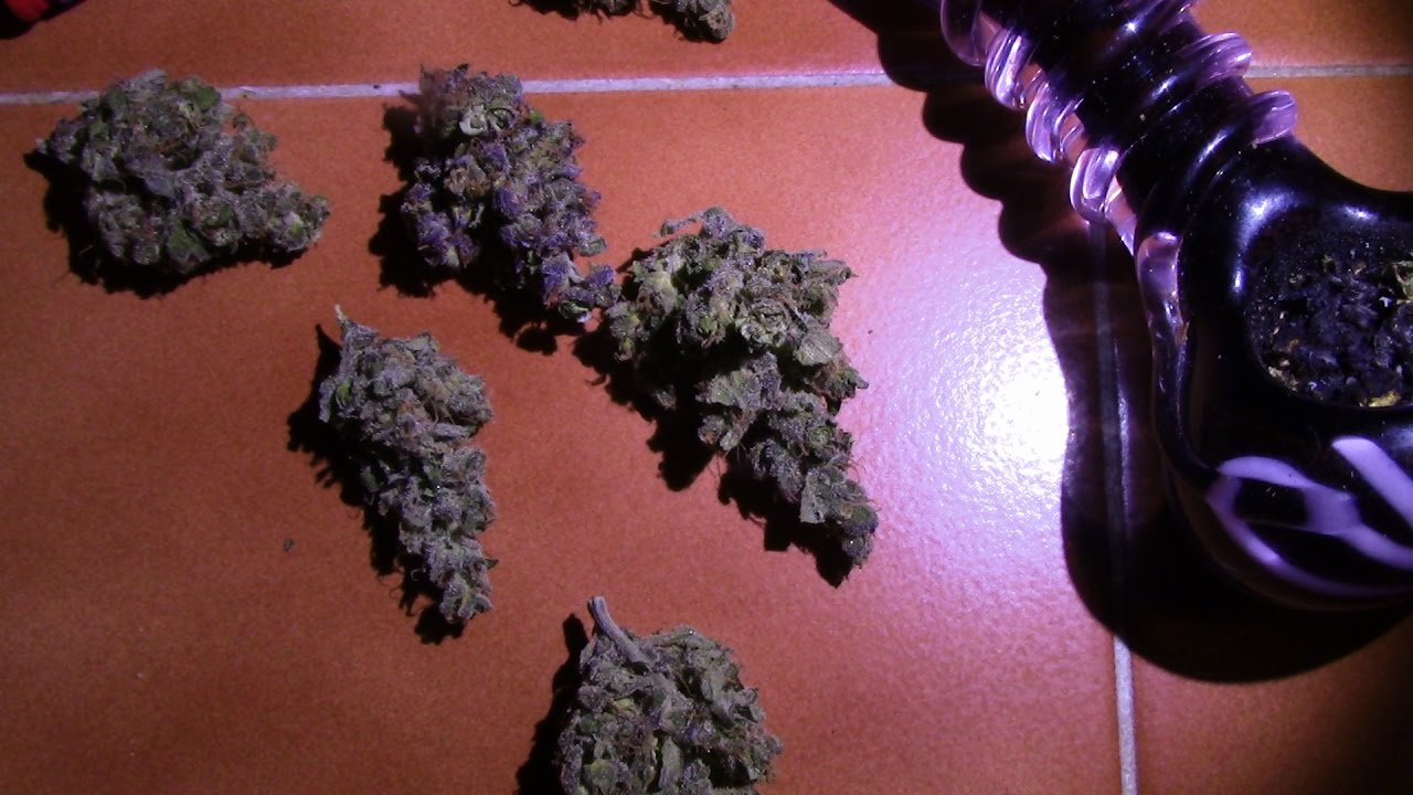 FASTBUDS LSD-25 Show-n-Smoke