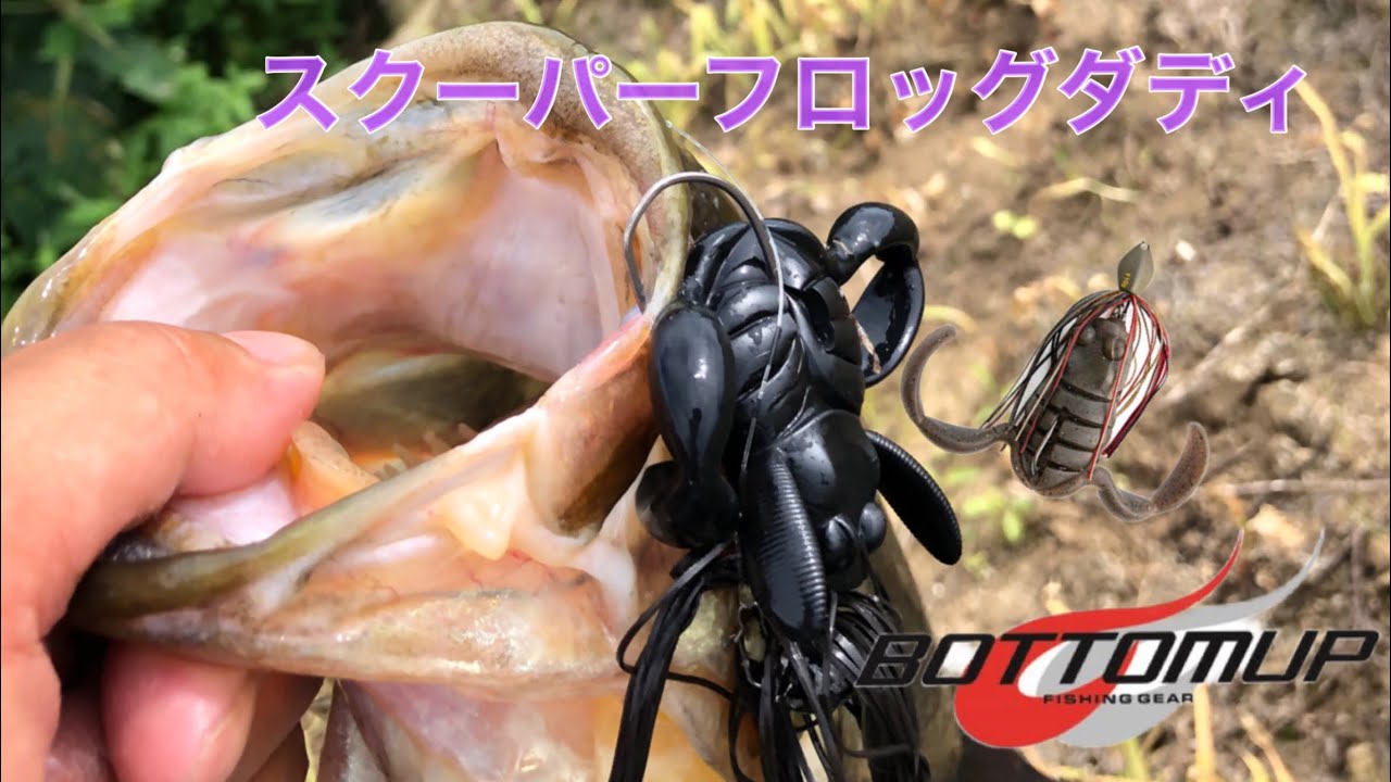 【スクーパーフロッグダディ】短時間で過去最多バイト数でした（泣）