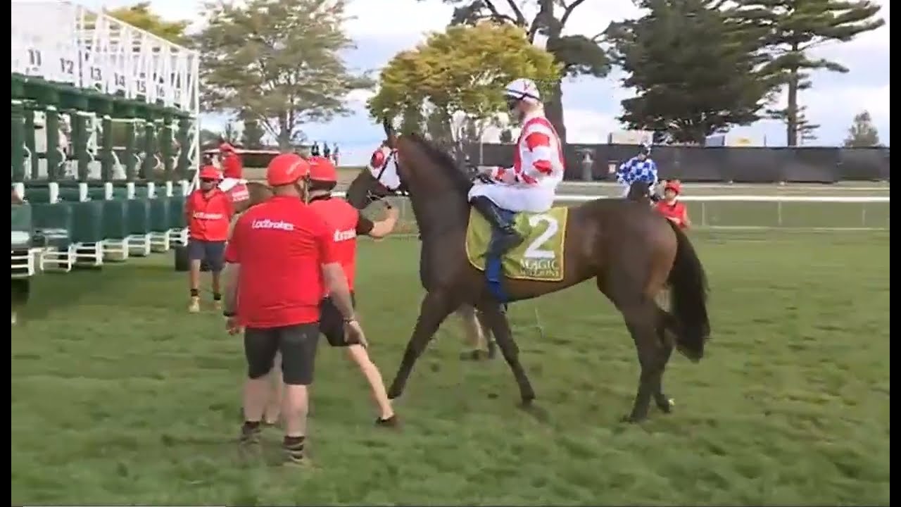 RACE 6 - BEAUDESERT -AUSTRALIA -06 FEB 2026