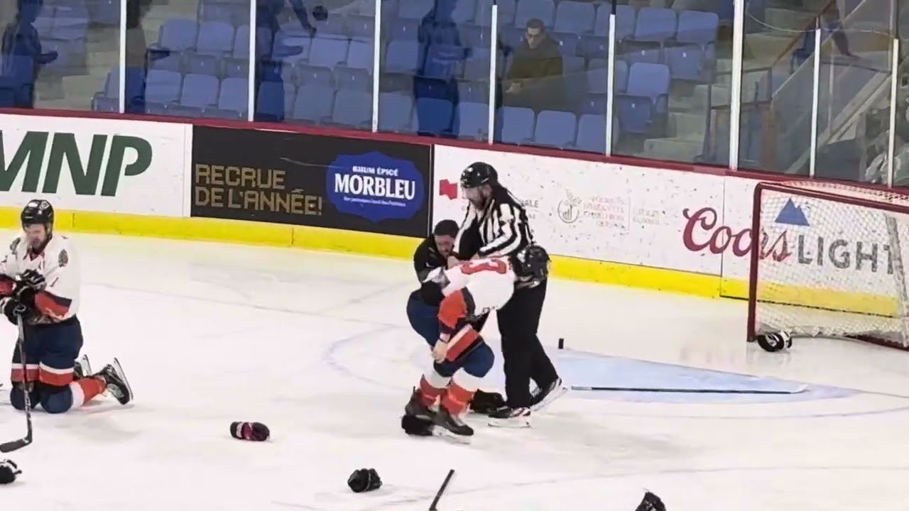 Dave Hamel Agresseur sur Alexandre Roy + BRAWL 