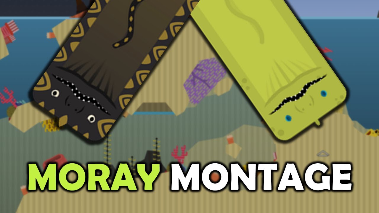 Too Slippery - Moray Eel Montage | Deeeep.io