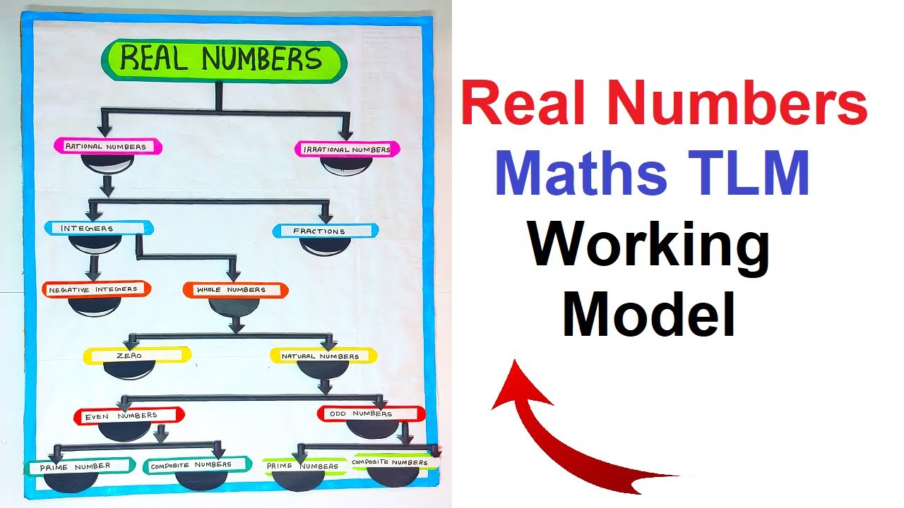 real numbers working model - maths tlm - diy | craftpiller