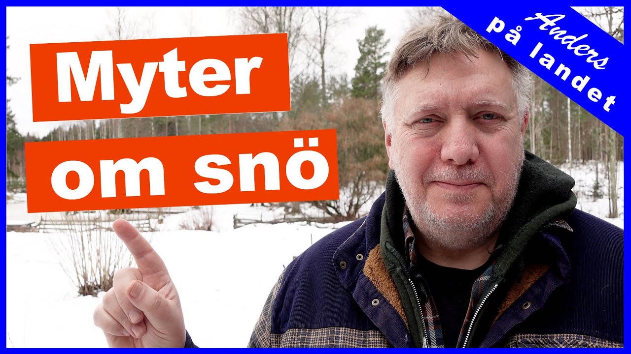 Blir sn&ouml; verkligen tyngre av regn?