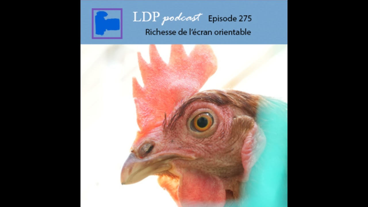 275 Richesse de l'&eacute;cran orientable