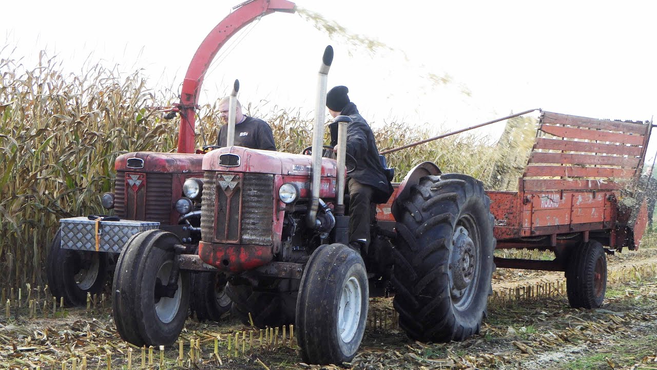 Massey Ferguson 65 Turbo Tractors & Massey Ferguson 2680 Chopping Corn