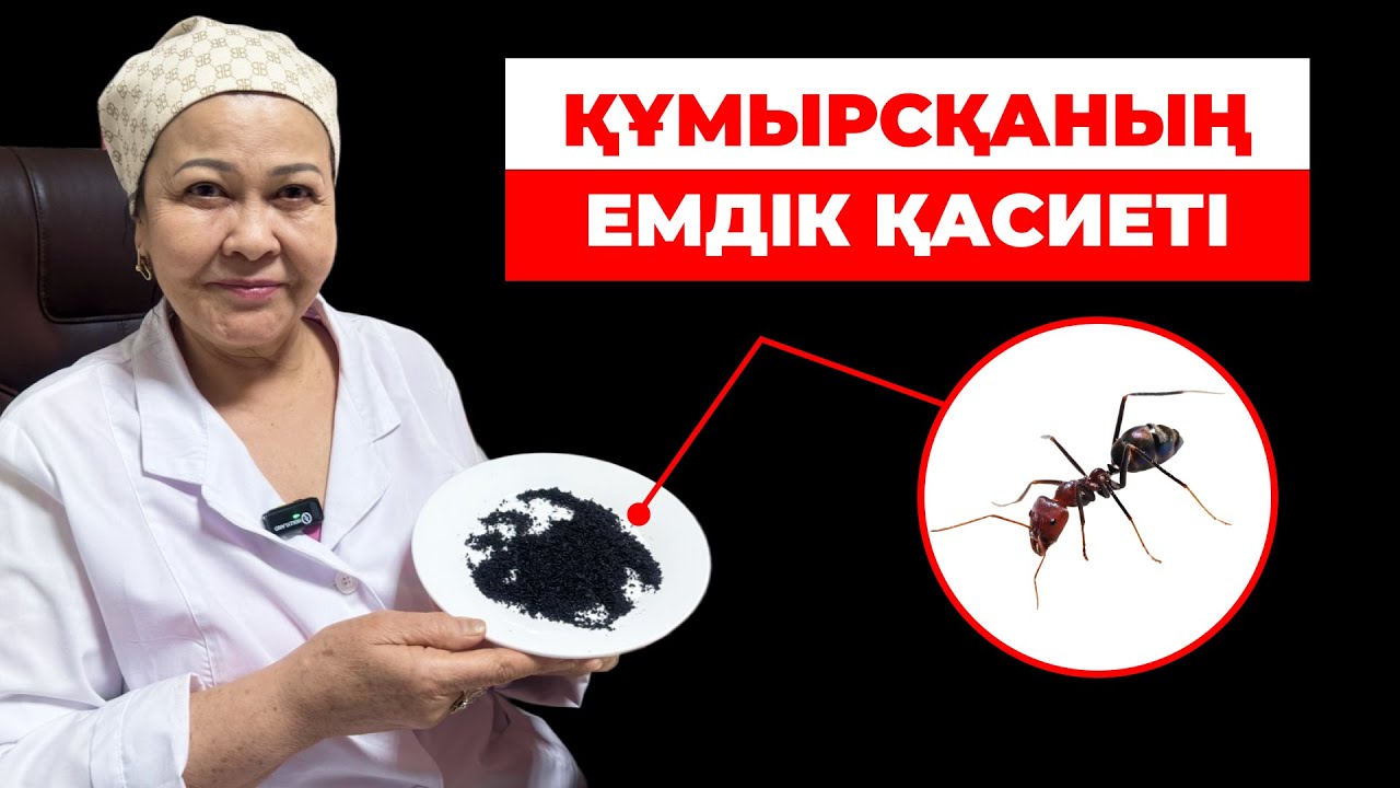 31 жылдық дәрігер ешкім айтпайтын құмырсқаның емдік қасиеті жайлы.