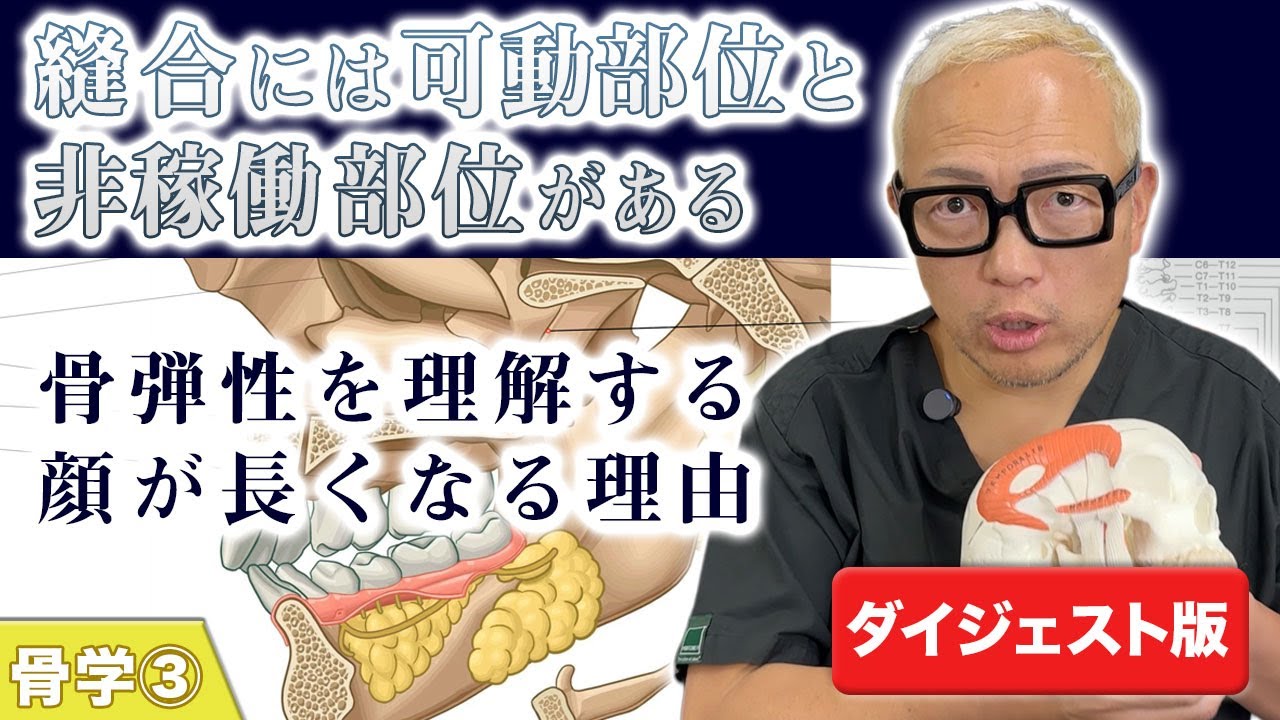 【ダイジェスト版】縫合には可動部位と非稼働部位がある/骨弾性を理解する 顔が長くなる理由　骨学③[さつま式YouTube講義Vol.05]