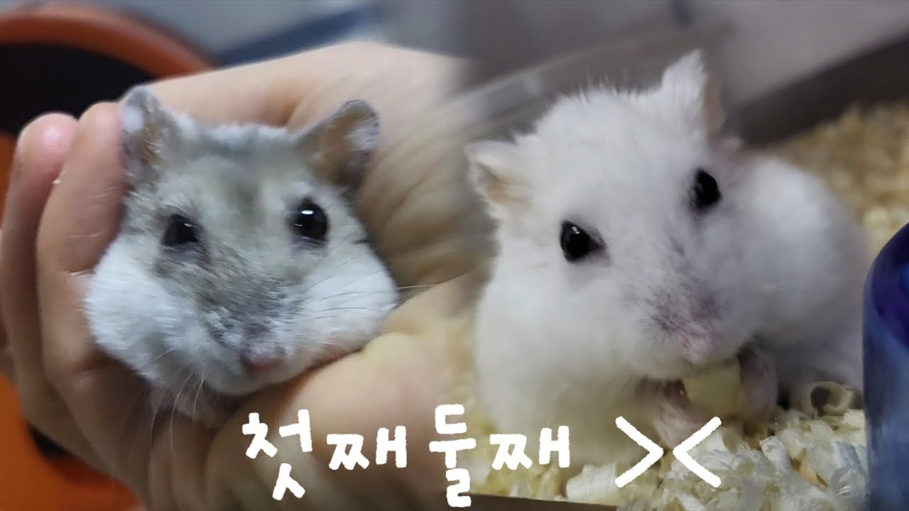 시간아 느리게 가자~
