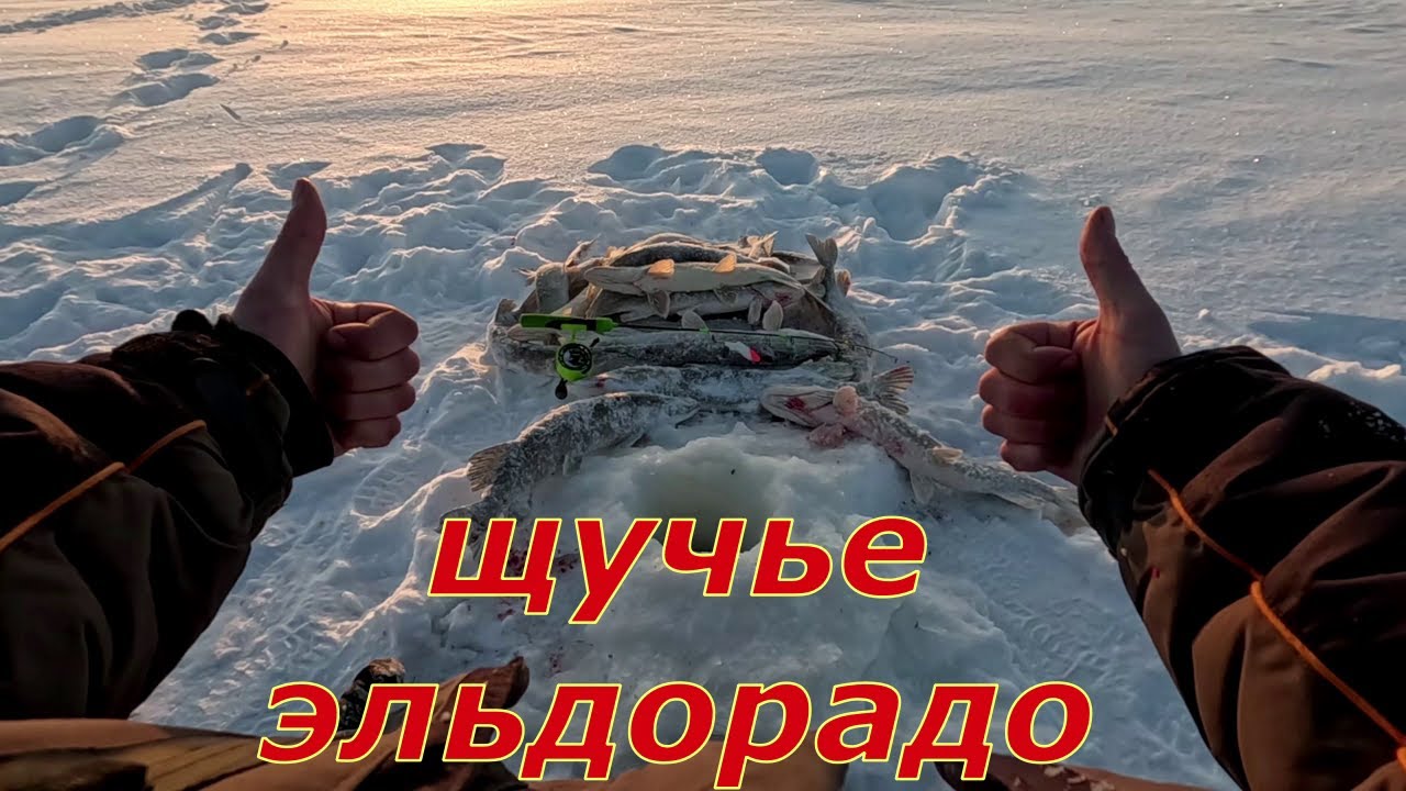 Щучье эльдорадо, нашёл заветную лунку. Рыбалка с дедом.