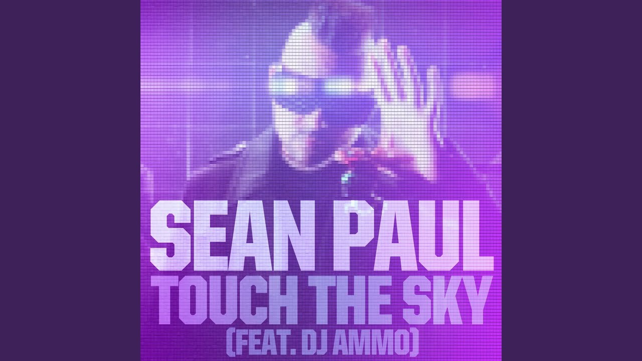She Doesn't Mind (Pitbull Remix)