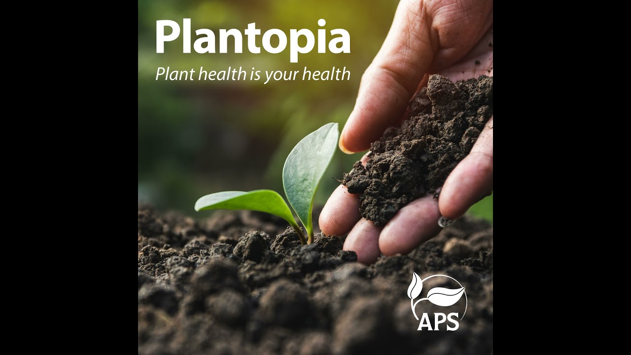 A Conversation With Four Clinic Directors Behind The National Plant Diagnostic Network