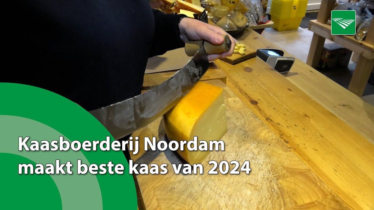 Kaasboerderij Noordam maakt beste kaas van 2024