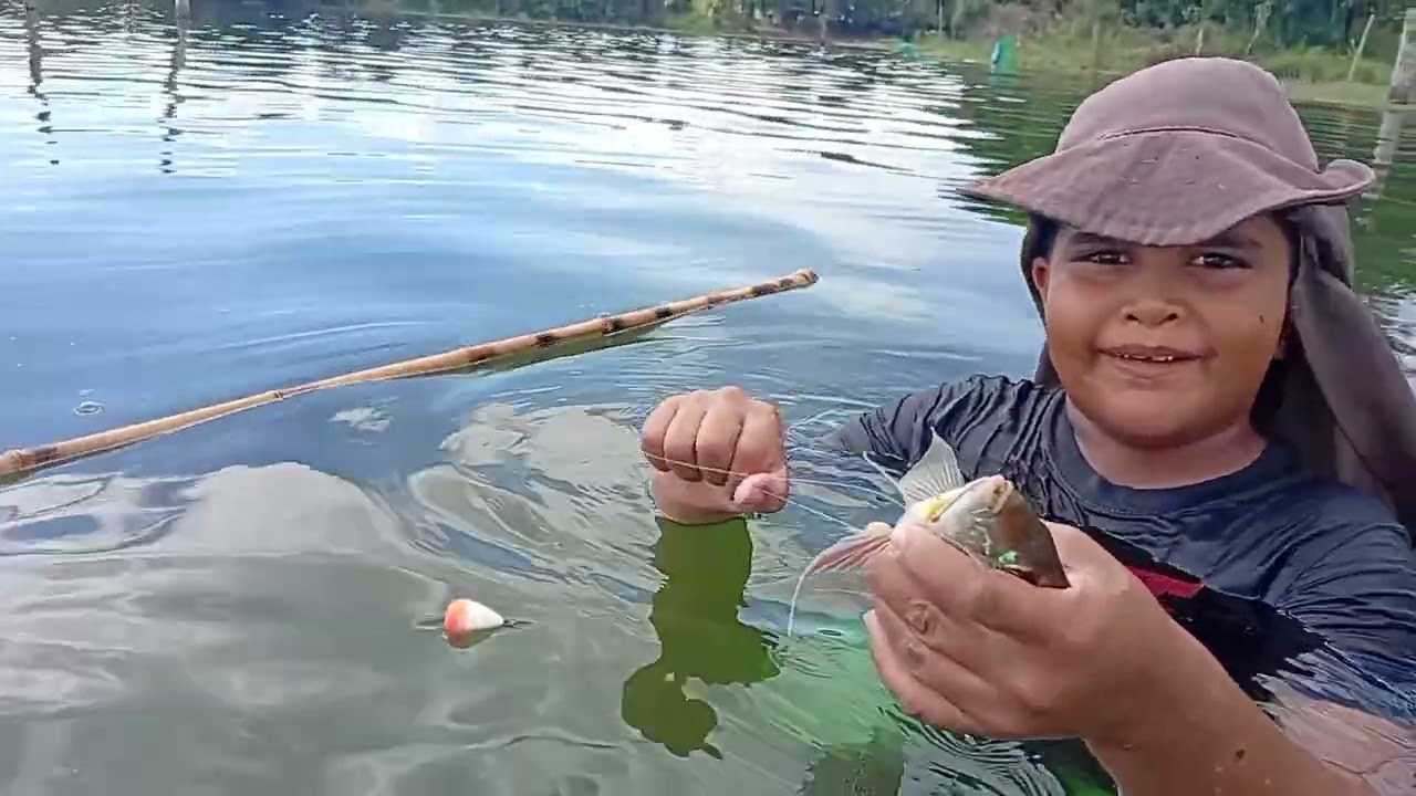 Vitor a emoção de pesca uma tilápia 