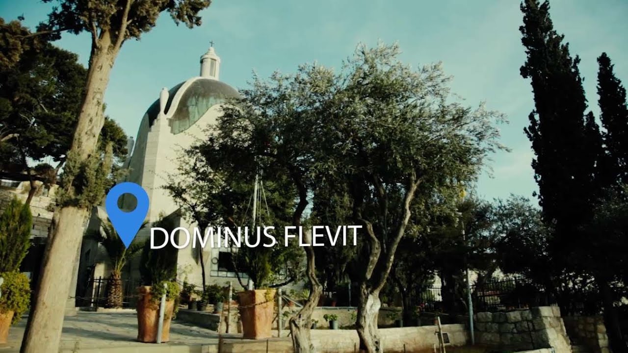 Mt. of Olives: Palm Sunday