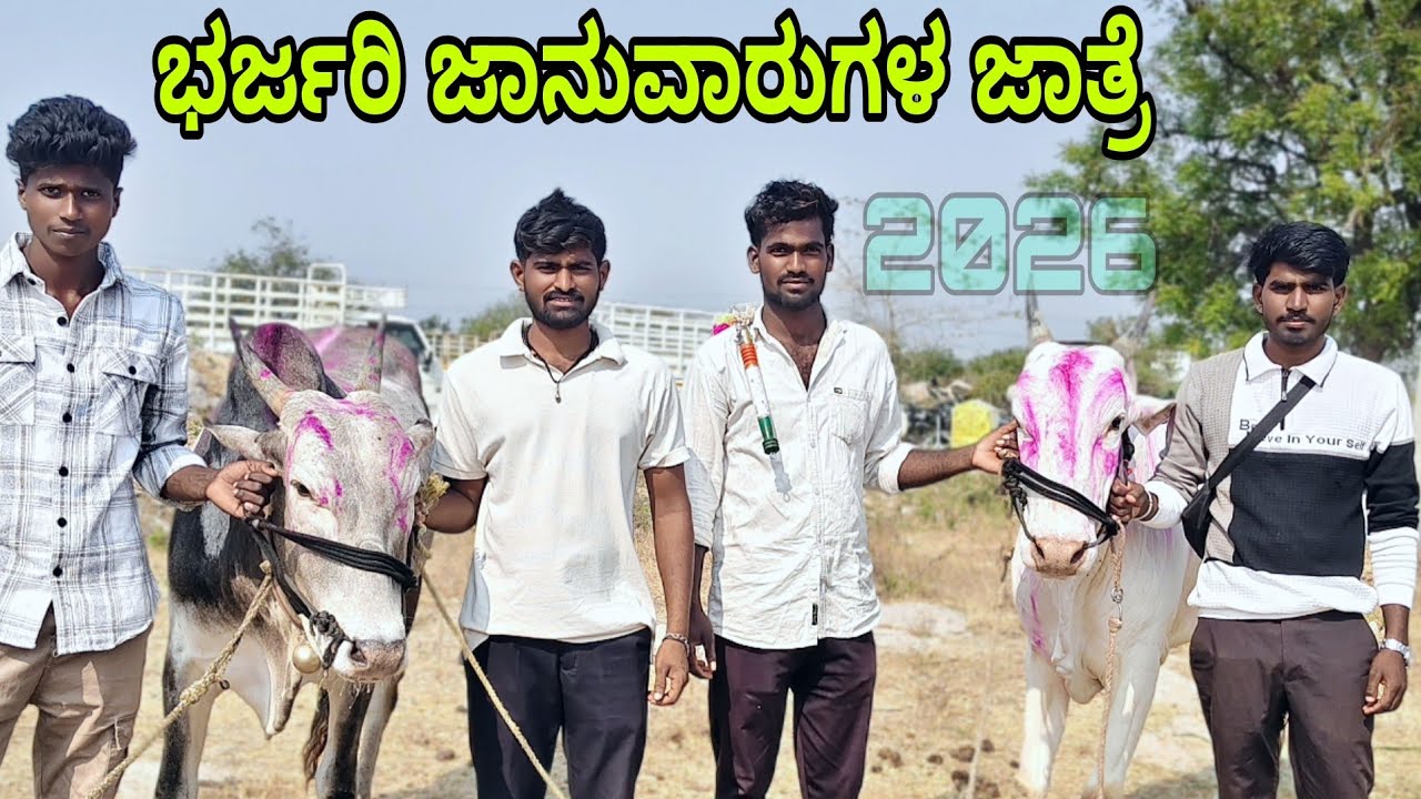 ಭರ್ಜರಿ ಜಾನುವಾರುಗಳ ಜಾತ್ರೆ 2026| ಬಾರಿ ದನಗಳ ಜಾತ್ರೆ| 2026ರ ಜಾತ್ರೆ