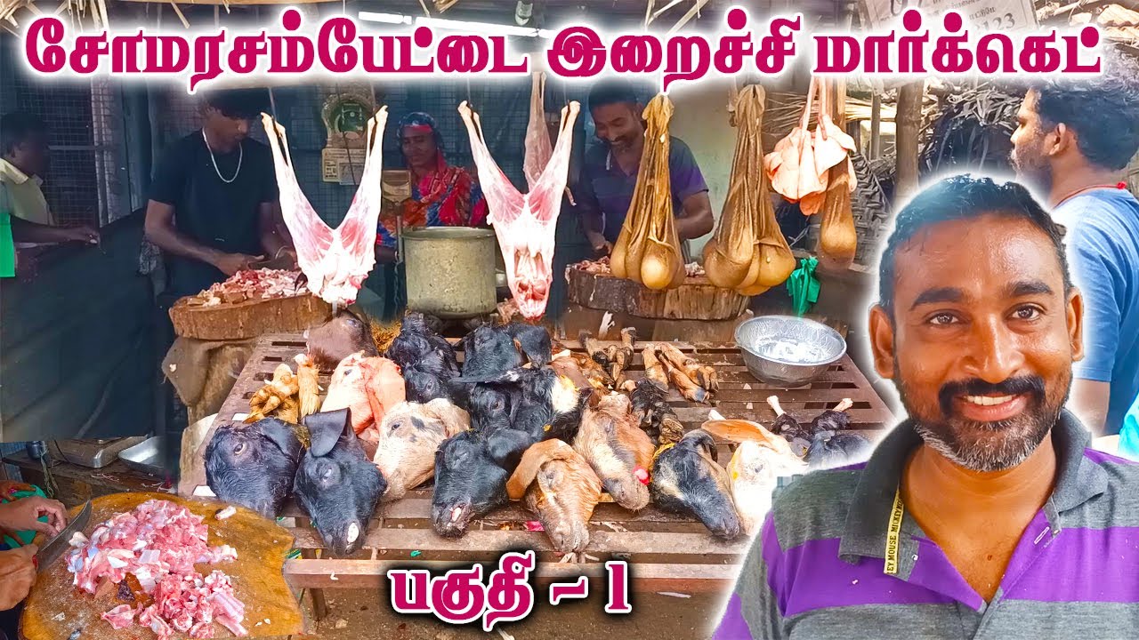 சோமரசம்பேட்டை இறைச்சி சந்தை பகுதி 1 | Somarasampettai meat market | Meat shop | meat market trichy