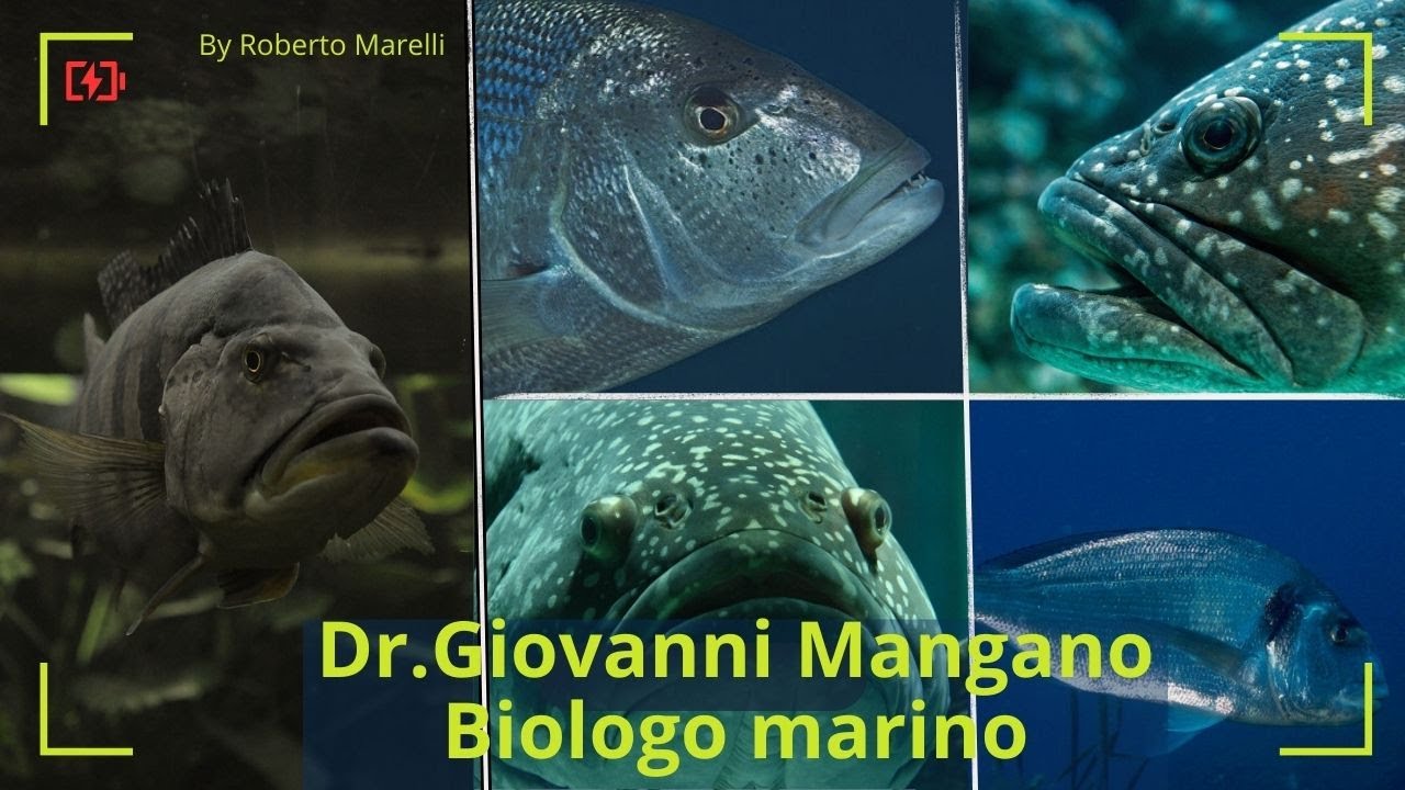 Ep.99 Segreti: Tutte le caratteristiche dei pesci per insediarli meglio con Giovanni Mangano Biologo