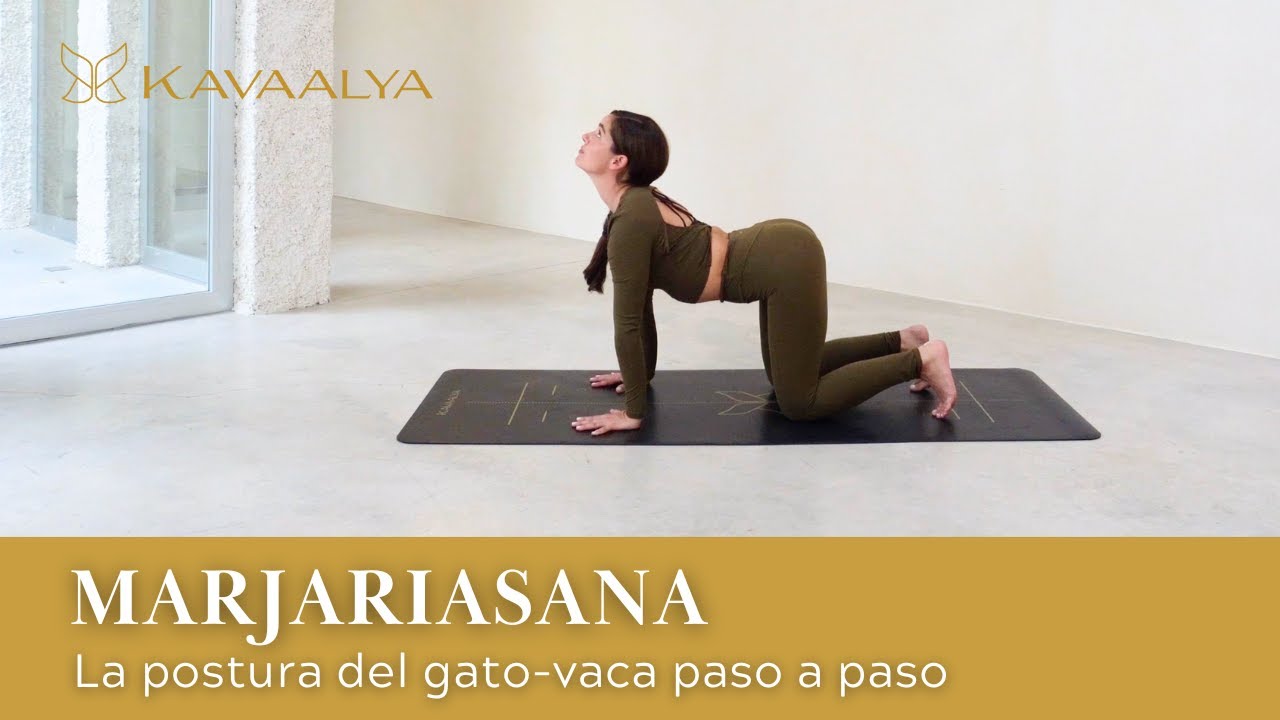 Yoga para principiantes | Cómo hacer Marjariasana (postura del gato-vaca) paso a paso 🪄 |  Kavaalya