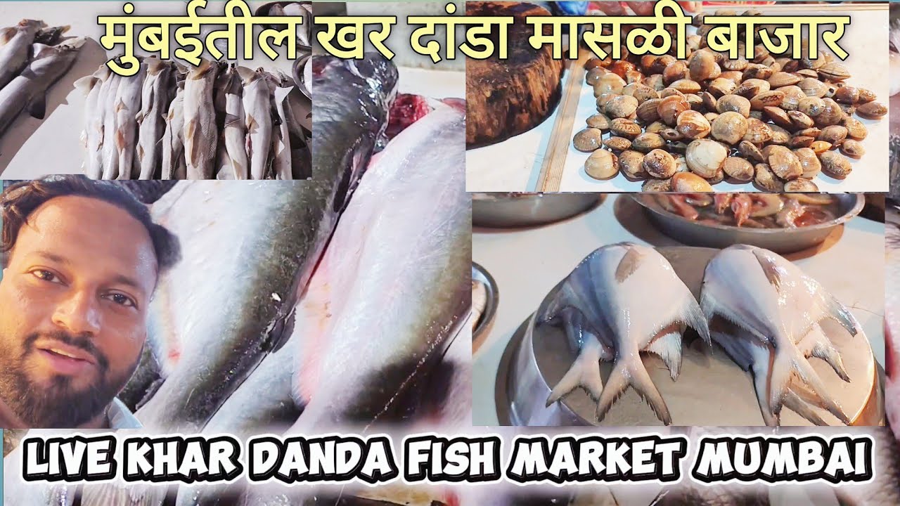 Khar Danda fish Market latest video || khar danda Machi market 