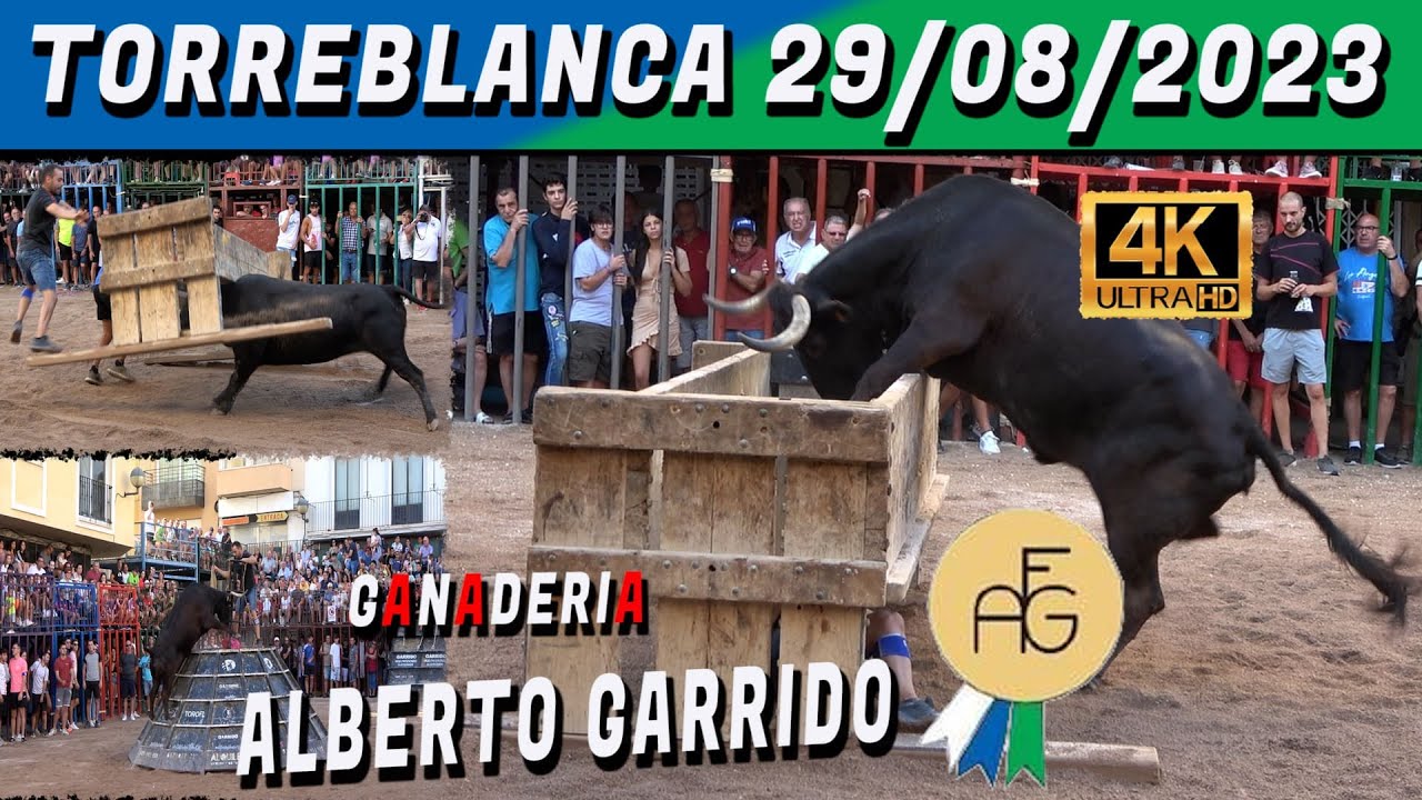 👉👀✅TORREBLANCA 2023 ALBERTO GARRIDO