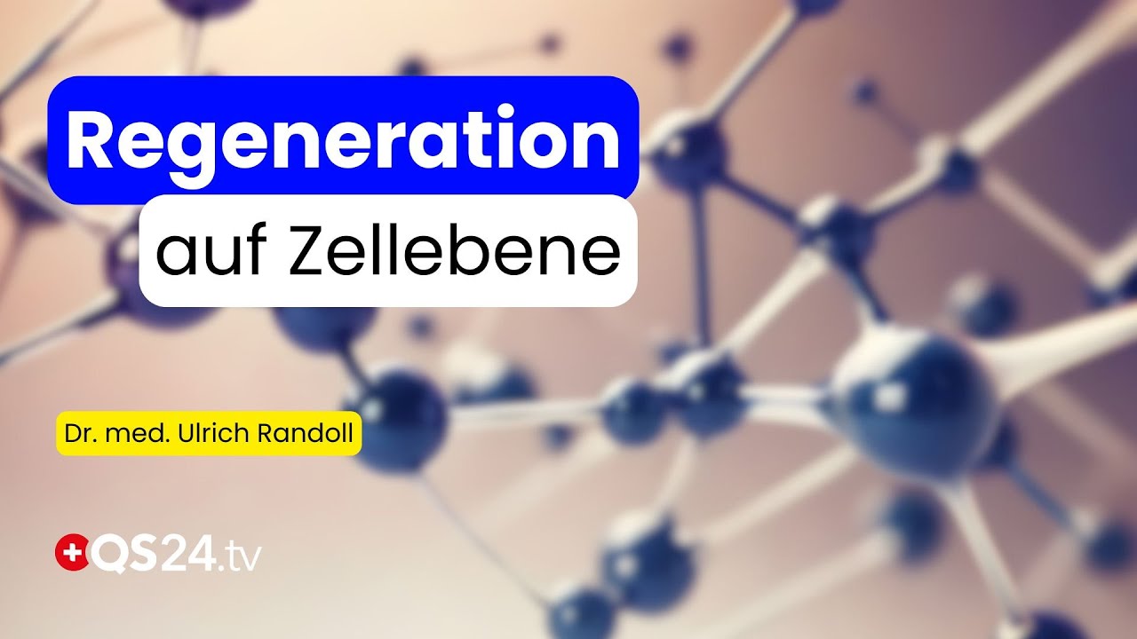 System-Medizin vs. Matrix-Philosophie: Die neue Art, Gesundheit zu verstehen | Naturmedizin | QS24