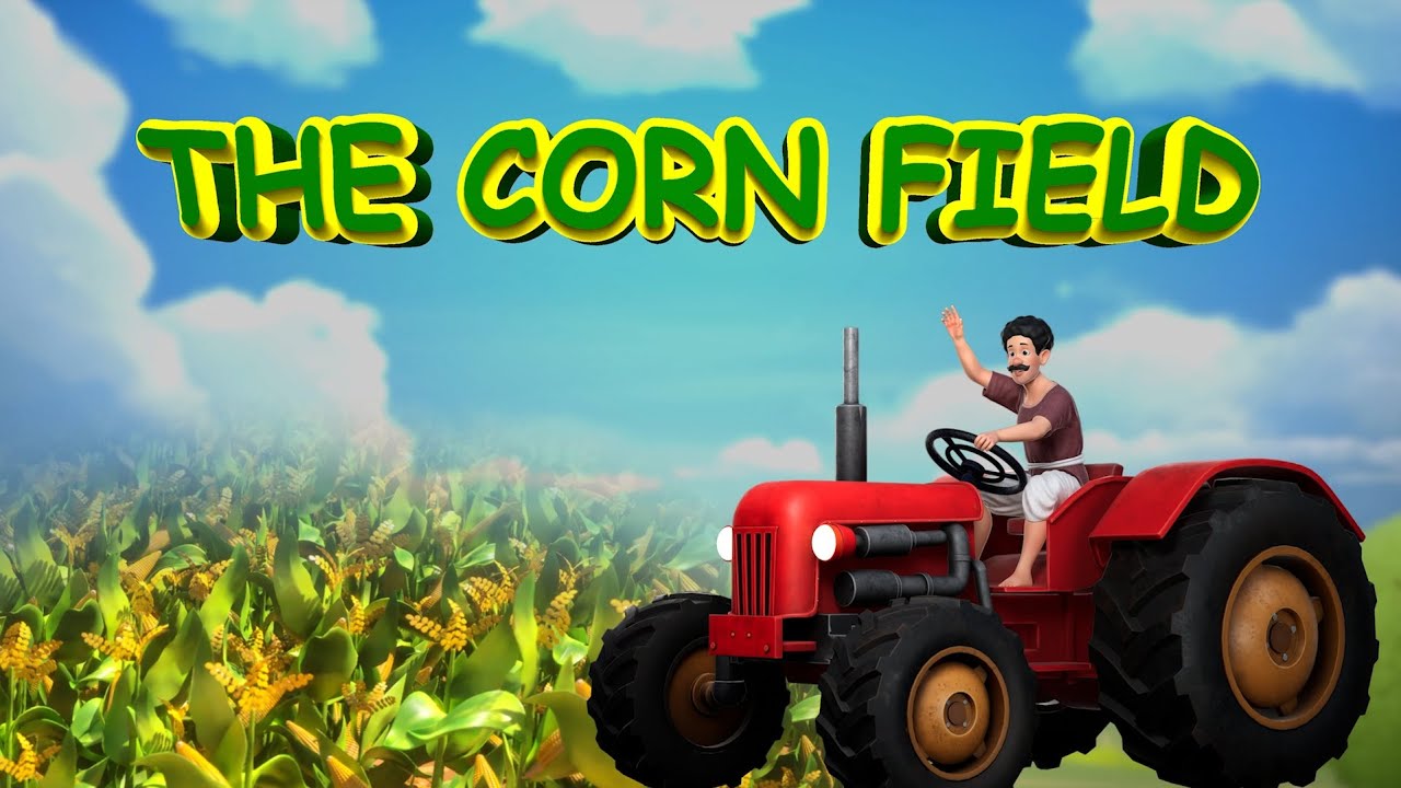 The Corn Field - 3D Rhyme
