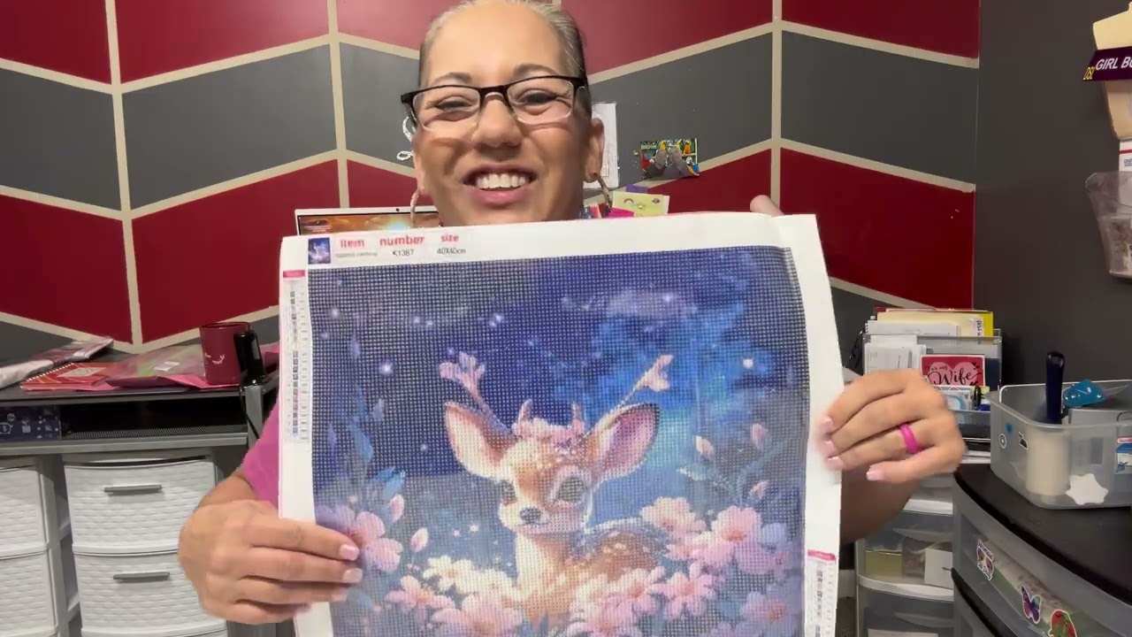 Diamond Painting Unboxing Budget Friendly
