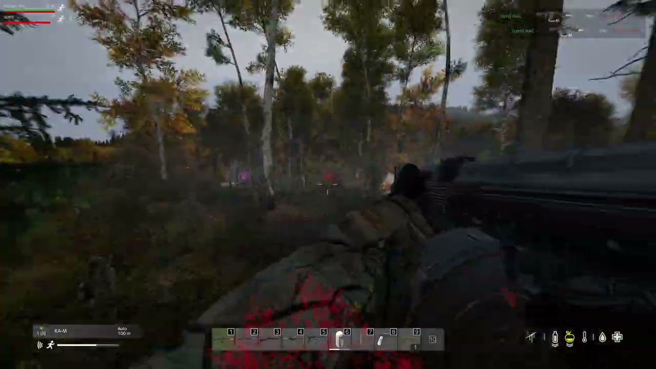 combat de fou il y en avais partout !!