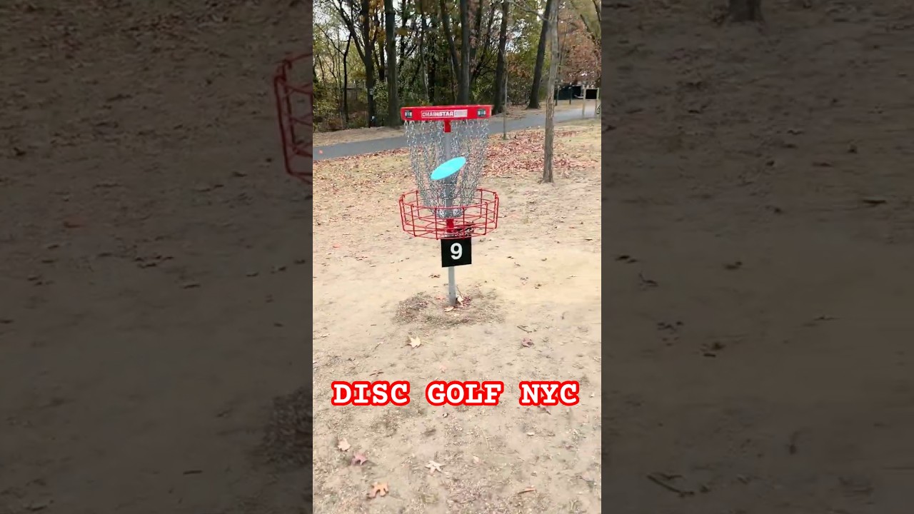 NYC's FIRST EVER  DISC GOLF COURSE!  🥏 | #nyc #discgolf #shorts