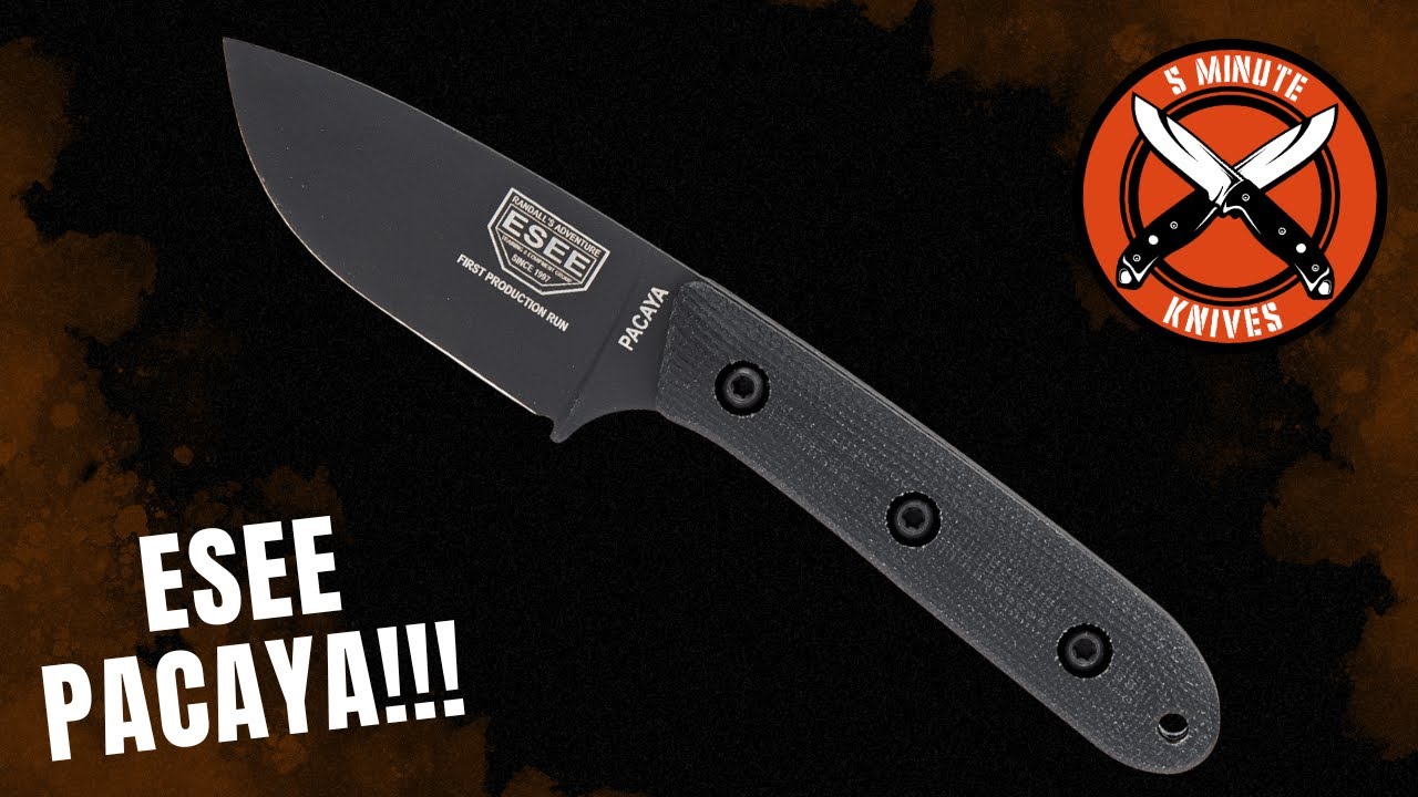 😵 The Knife That Gave Me Tourette’s… 🔪