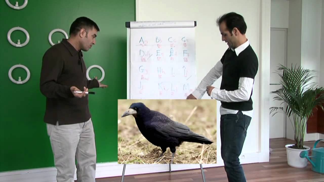 Dersa Kurdî 3