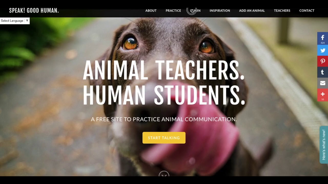 Where to Learn and Practice Animal Communication for FREE