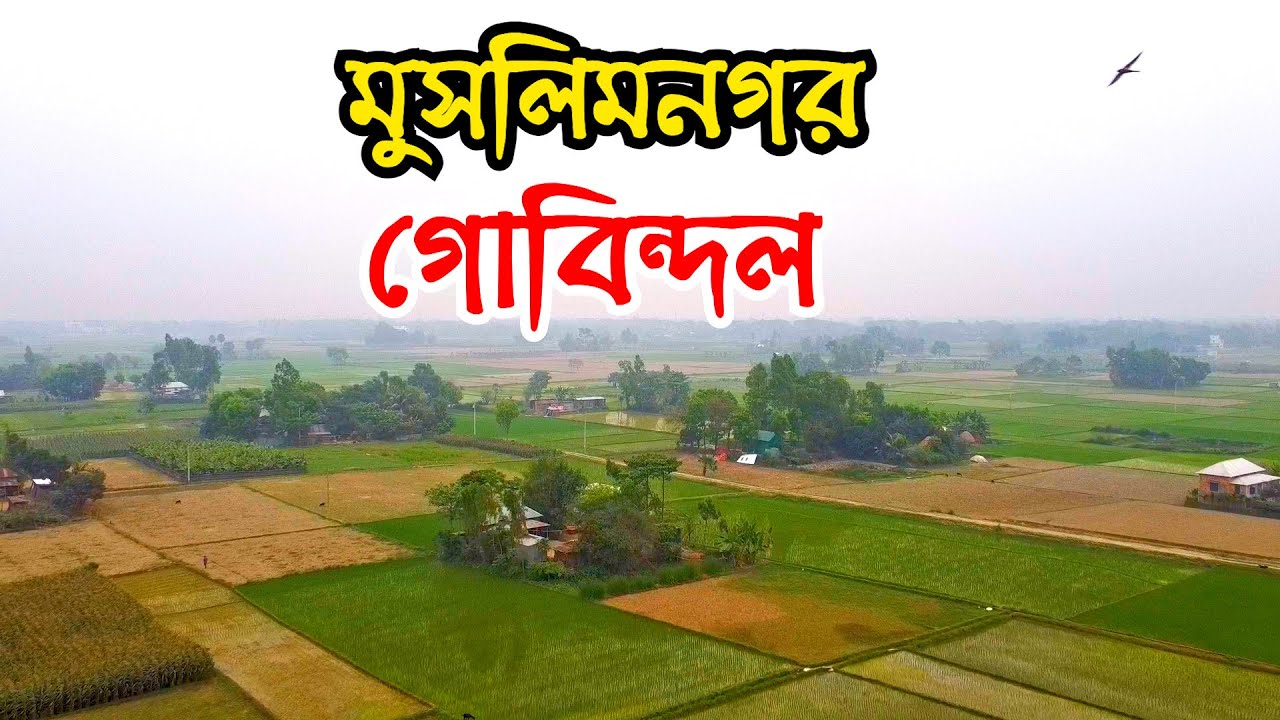গোবিন্দল বাংলাদেশের একমাত্র শতভাগ মুসলিম মানুষের গ্রাম | Info Hunter