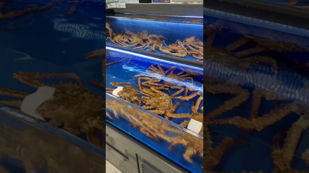 Live seafood and meat selling style in Korean supermarkets #food #live #korea #meat #seafood