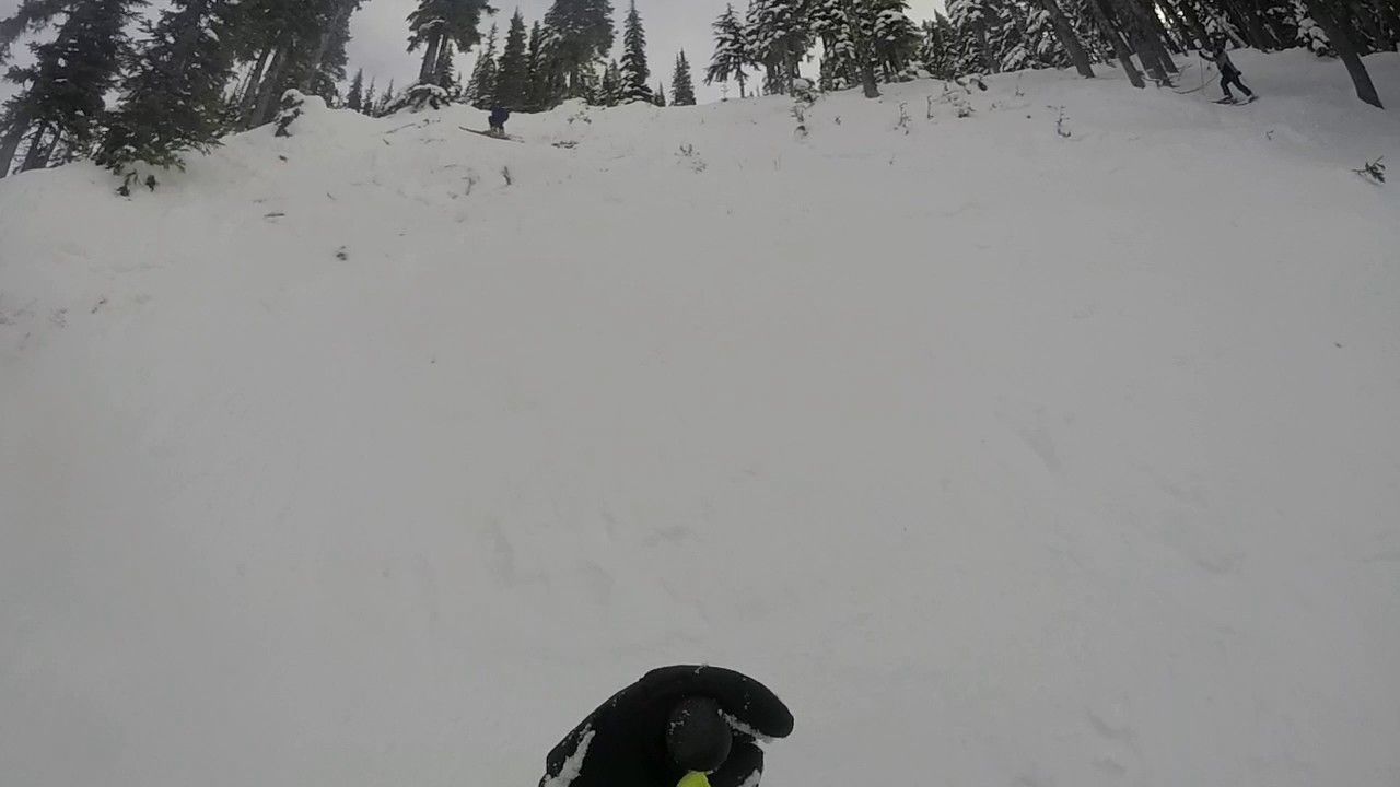 Wild Katz Stevens Pass 2017